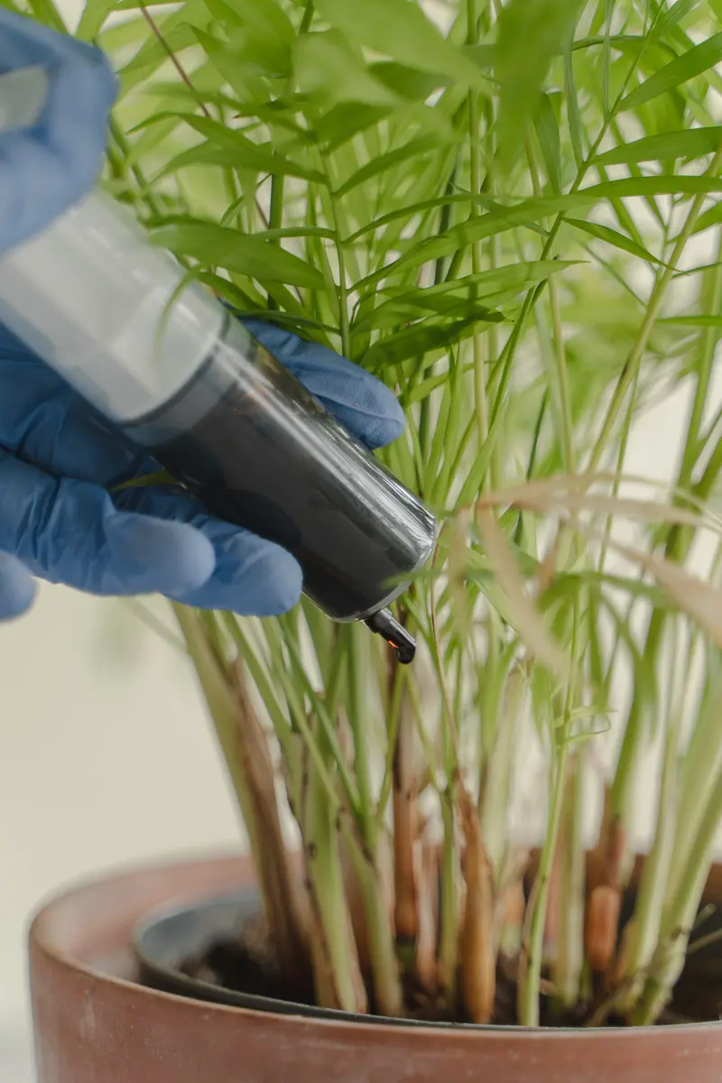 Valorisation des digestats liquides : Arkeale lève le voile sur un fertilisant d’avenir