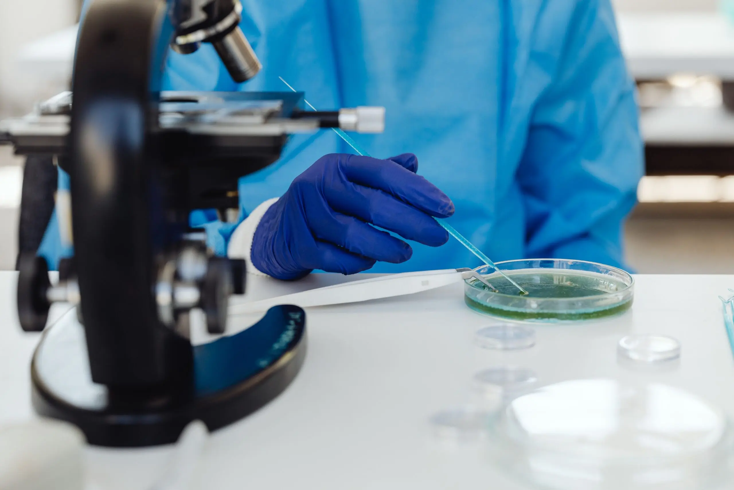 La bioéconomie : quelles sont les évolutions et les défis de la filière ?